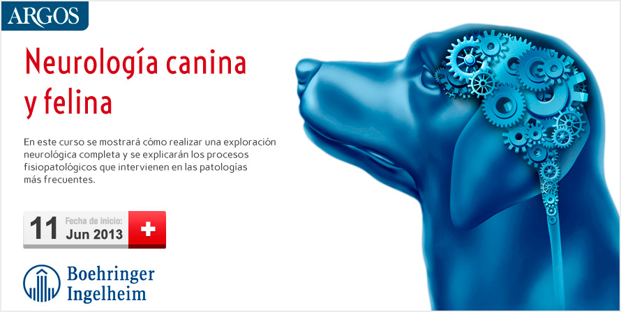 Neurología canina y felina