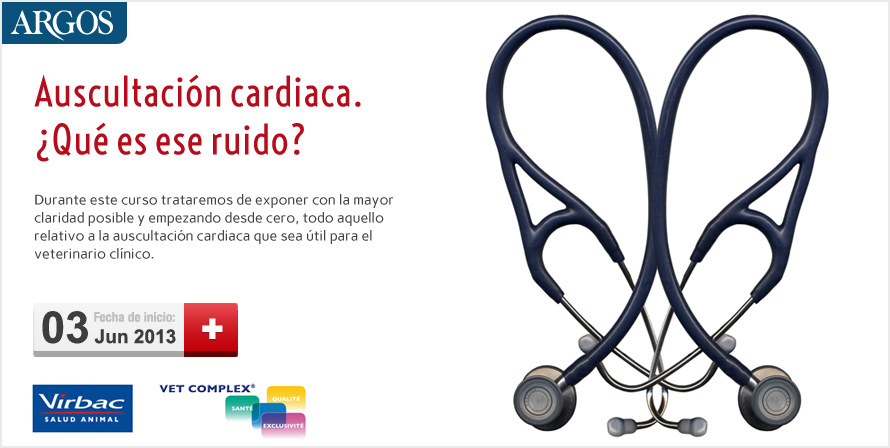 Auscultación cardiaca. ¿Qué es ese ruido? México