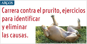 Carrera contra el prurito. México
