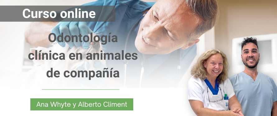 Odontología clínica en animales de compañía