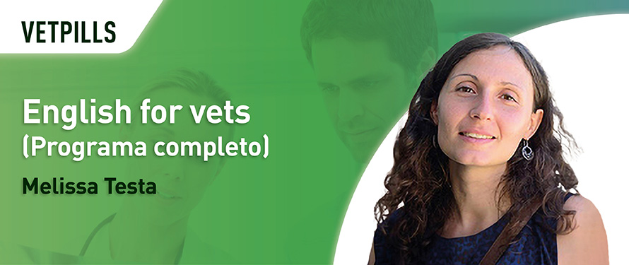 Vetpills “English for vets” (Programa completo)