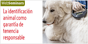 La identificación animal como garantía de tenencia responsable