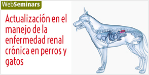 Actualización en el manejo de la enfermedad renal crónica en perros y gatos