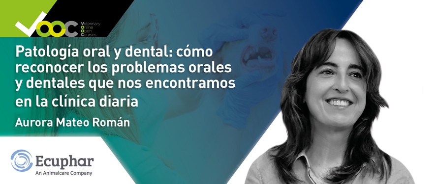 Patología oral y dental: cómo reconocer los problemas orales y dentales que nos encontramos en la clínica diaria
