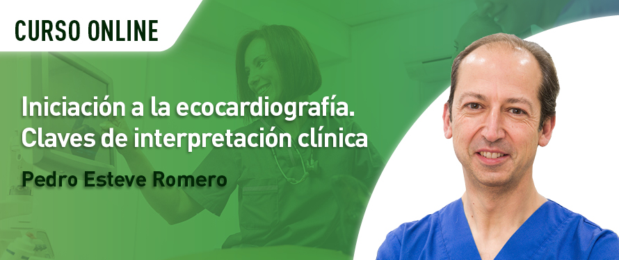 Iniciación a la ecocardiografía. Claves de interpretación clínica
