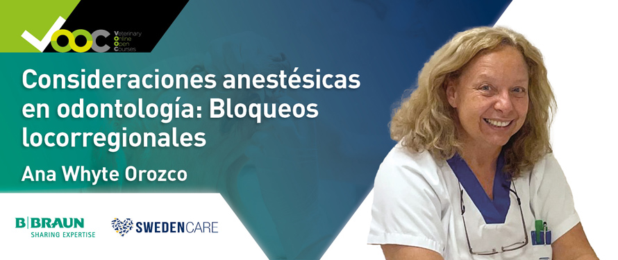 Consideraciones anestésicas en odontología: Bloqueos locorregionales
