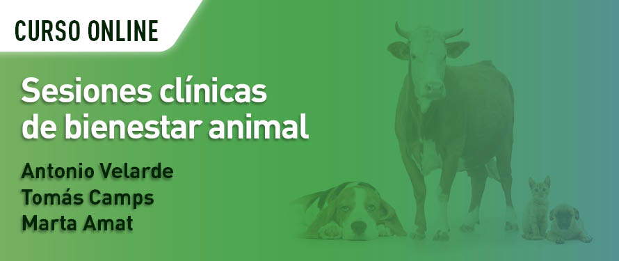 Sesiones clínicas de bienestar animal