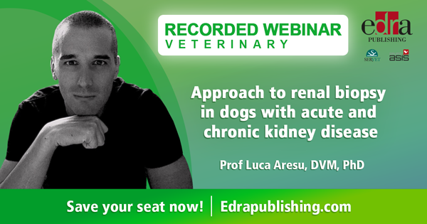 Approach to renal biopsy in dogs with acute and chronic kidney disease